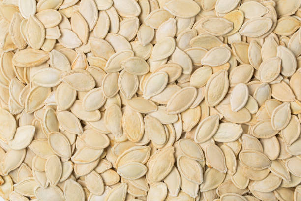 pumpkin seed and pilled pumpkin seed - pilled imagens e fotografias de stock