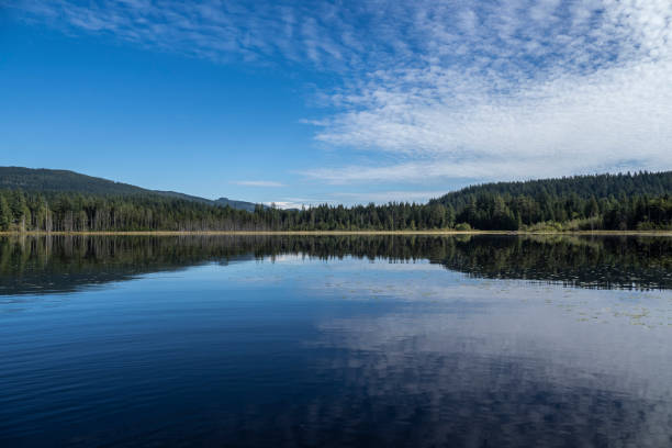 istock Whonnock Lake Park 1342065640