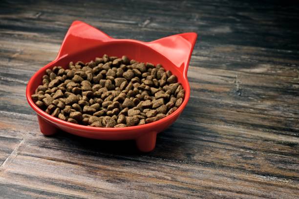 istock Cat shaped bowl filled with dry pet food. 1342065816