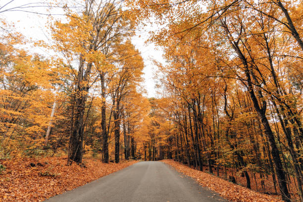 istock country autumnal road 1342066021