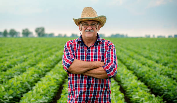 istock Farmer in a soybean field. Agricultural concept 1342068835