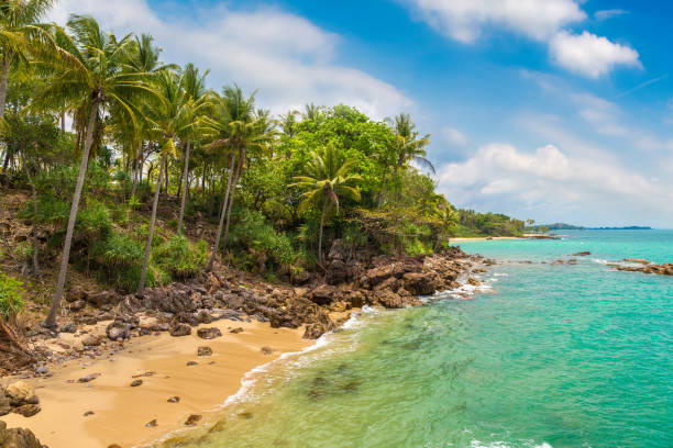 istock Beach on Koh Lanta Yai 1342068846