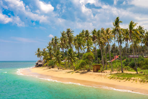 istock Khong Klong beach on Koh Lanta 1342068928