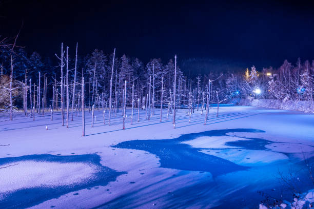 Illuminated fantastic winter blue pond in Biei