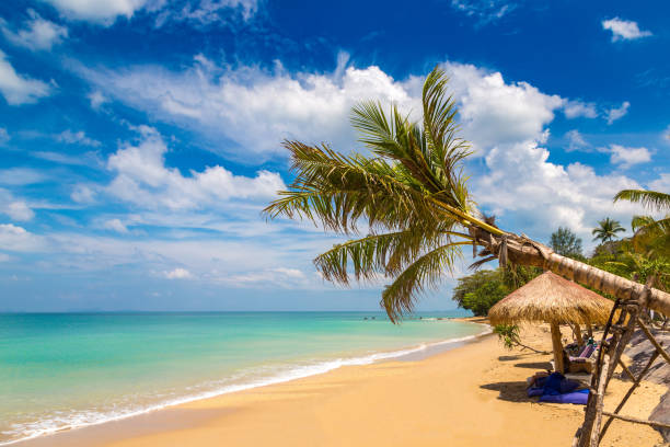 istock Relax bay beach on Koh Lanta Yai 1342069299