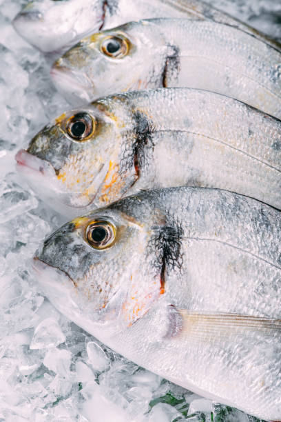 istock Fresh Sea Breams on Ice 1342069369
