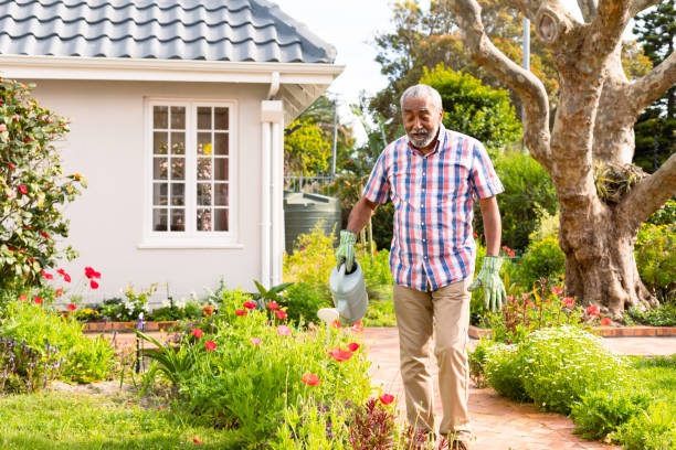 istock African american senior man watering plants in backyard 1342070325
