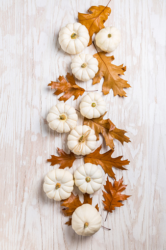 Happy thanksgiving - still life with white pumpkins and autumn leaves on white wooden background