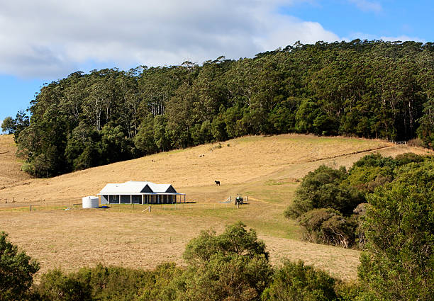 Modern farm house on hill side with trees surrounding it stock photo