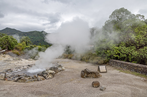 Individual named boiling springs in the geothermal area in a public park in the center of the town Furnas in the center of the Portuguese Azorean Island San Miguel in the middle of the North Atlantic Ocean
