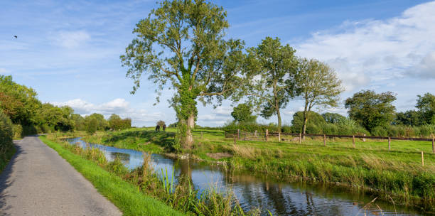 istock Panoramic of the shared pathway and Royal Canal 1342076608