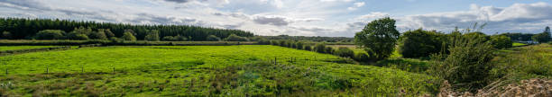 istock Panoramic view looking out at the fields and forest on a sunny day 1342077172
