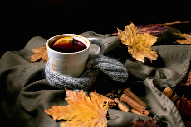 istock Hot mulled wine with spices and autumn leaves 1342077304