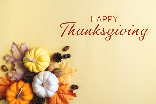 Feliz Día de Acción de Gracias con calabaza y nuez sobre fondo amarillo photo