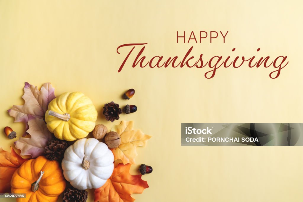 Happy Thanksgiving Day with pumpkin and nut on yellow background Thanksgiving - Holiday Stock Photo