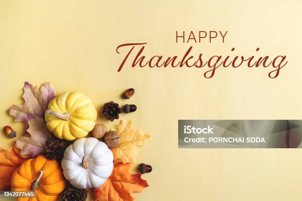 Happy Thanksgiving Day With Pumpkin And Nut On Yellow Background Stock Photo - Download Image Now