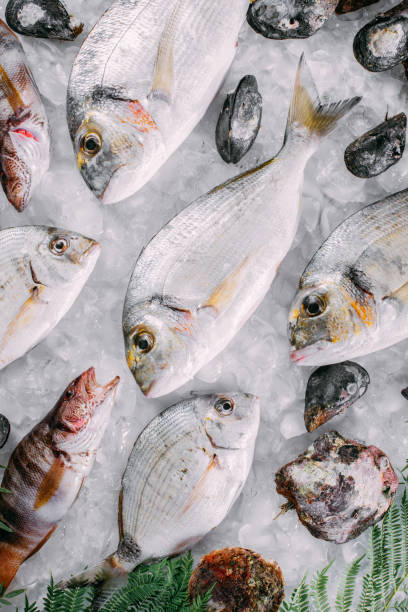 istock Fresh Fish's and Sea Food's on Ice 1342078298