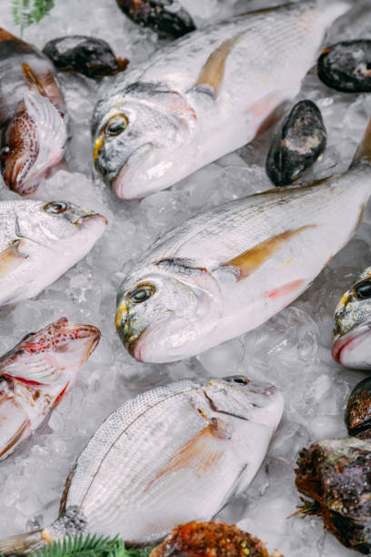istock Fresh Fish's and Sea Food's on Ice 1342078926