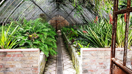 Old greenhouse in botanical garden in Malaga