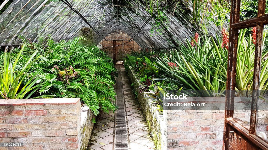 Old greenhouse in botanical garden in Malaga Flowerbed Stock Photo