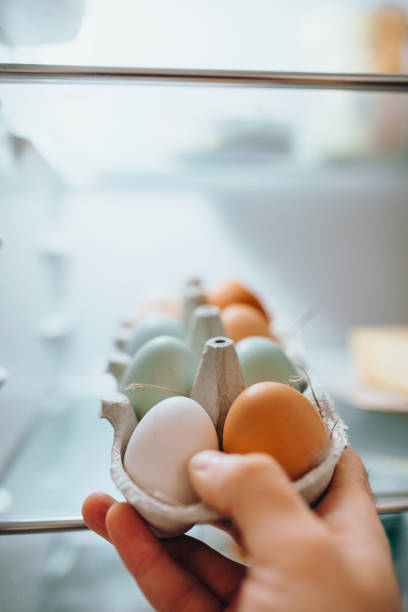 istock Paper Tray of Chicken Eggs from Breakfast Refrigerator 1342082611