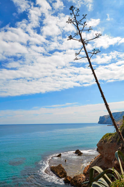 Denia Las rotas beach near Sant Antonio cape of alicante spain