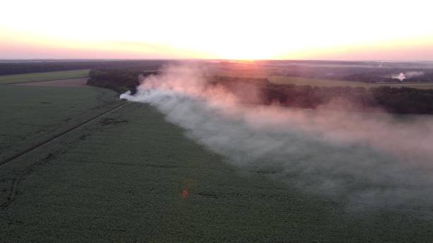istock Fire at a landfill with garbage near agricultural fields. Smoke on a sunset background. 1342084152
