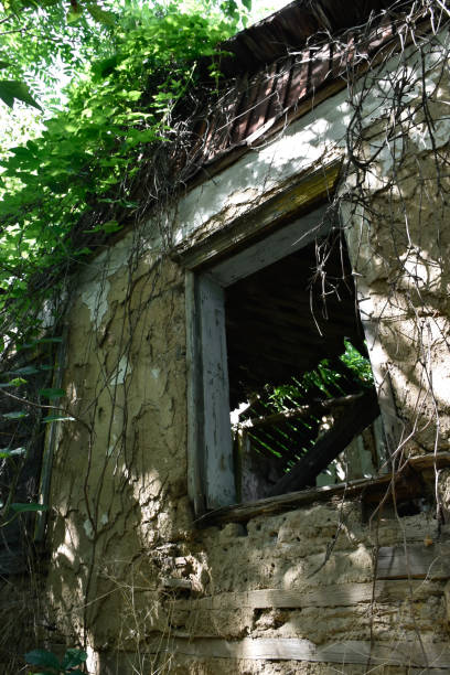 istock The creepy ruined abandoned house. 1342084638