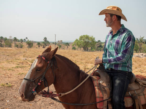 cowboy está montando seu cavalo em uma fazenda de gado com terra muito seca - horseback riding cowboy riding recreational pursuit - fotografias e filmes do acervo