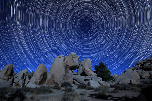 istock Night Sky Star Trails in Joshua Tree California on a Moon Lit Evening 1342088558