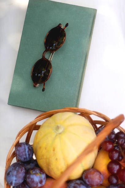 istock Picnic Basket, Book and Sunglasses 1342088622