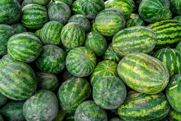istock Watermelon background. Summer Fruit Market 1342088882