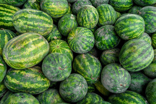 istock Watermelon background. Summer Fruit Market 1342088931