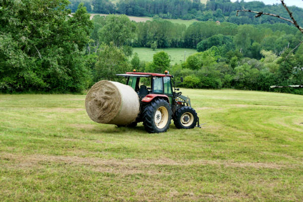 istock Collecting Hay Bales 1342090312