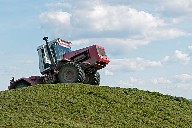 istock Weeled tractor rams green silo heap on blue sky background. 134209111