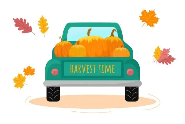 Vector illustration of Harvest truck carrying pumpkins. Rear view. Harvest time inscription. Autumn fall concept. Thanksgiving holiday. Vector illustration