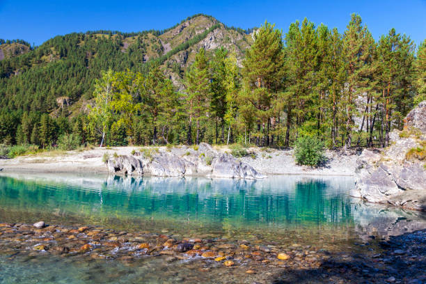 istock Mountain Altai, Katun river, blue lakes 1342092367