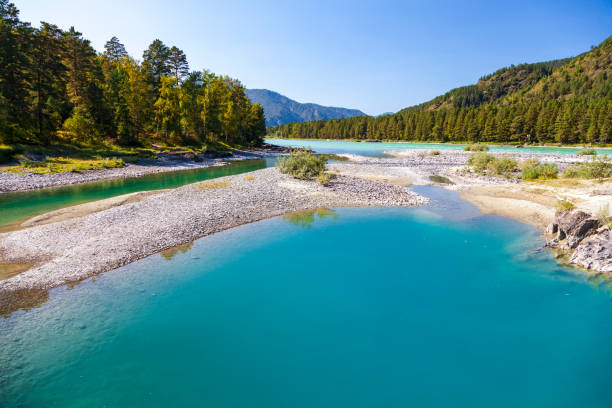 istock Mountain Altai, Katun river, blue lakes 1342092941