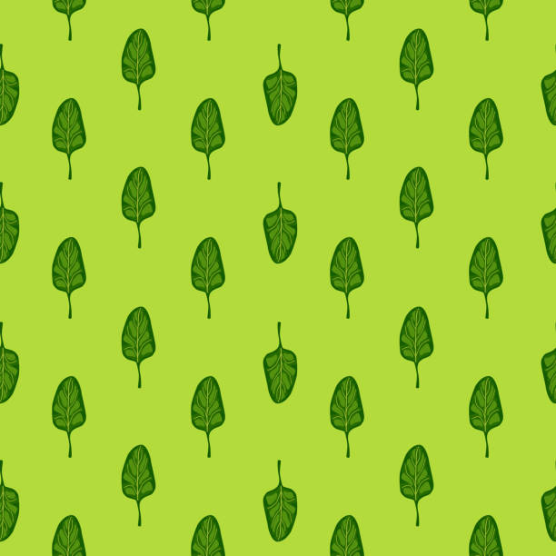 бесшовный узор салата со шпинатом на ярком фоне. минималистичный орнамент с салатом. - backgrounds lettuce agriculture botany stock illustrations