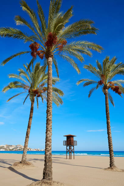 istock Cullera Sant Antoni beach San Antonio in Valencia 1342095240
