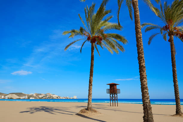 istock Cullera Sant Antoni beach San Antonio in Valencia 1342095283