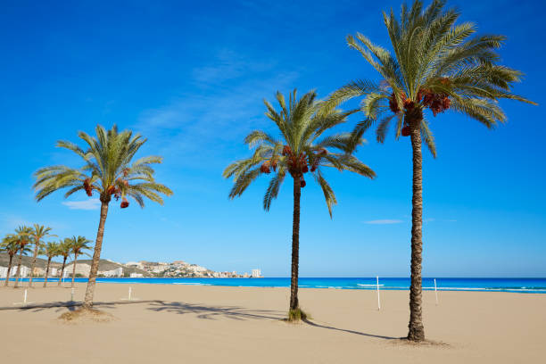 istock Cullera Sant Antoni beach San Antonio in Valencia 1342095343