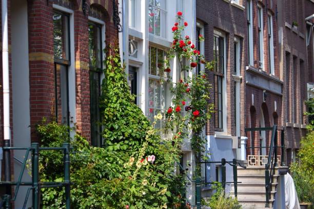 istock Amsterdam residential street 1342095833