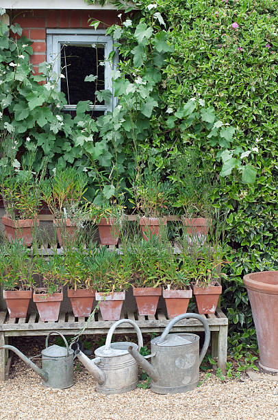 istock Cottage garden watering cans 134209745