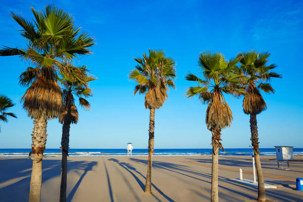 istock Gandia beach in Valencia of Spain 1342101228