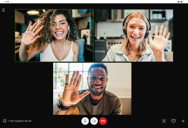 istock Business people on a video call while working remotely from home. 1342101650
