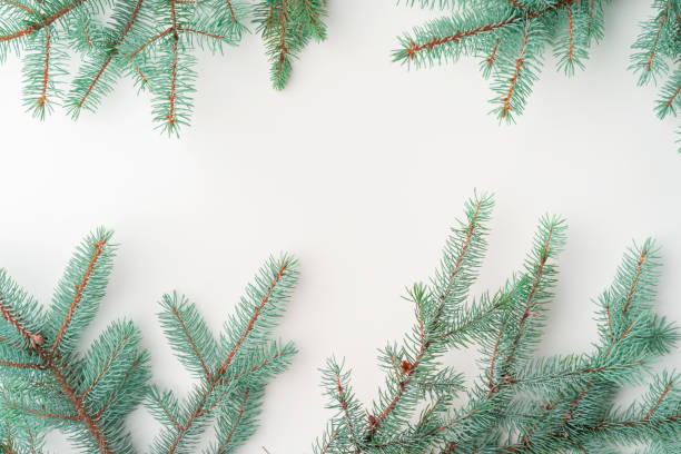 istock Christmas mock up with pine branches on white background, copy space, flatlay 1342102726