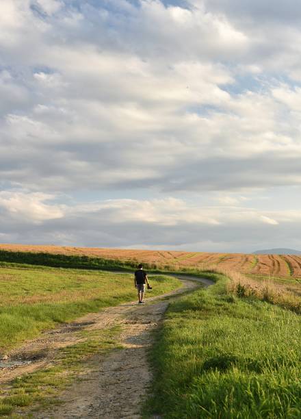 istock landscape after harvest at sunset 1342102925
