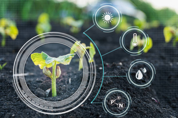 istock Smart technology with Internet of things futuristic agriculture concept 1342104257