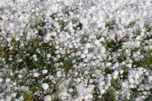 istock Hail in a garden after hailstorm 1342104263